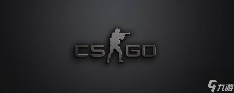 的职业女排 的职业女排